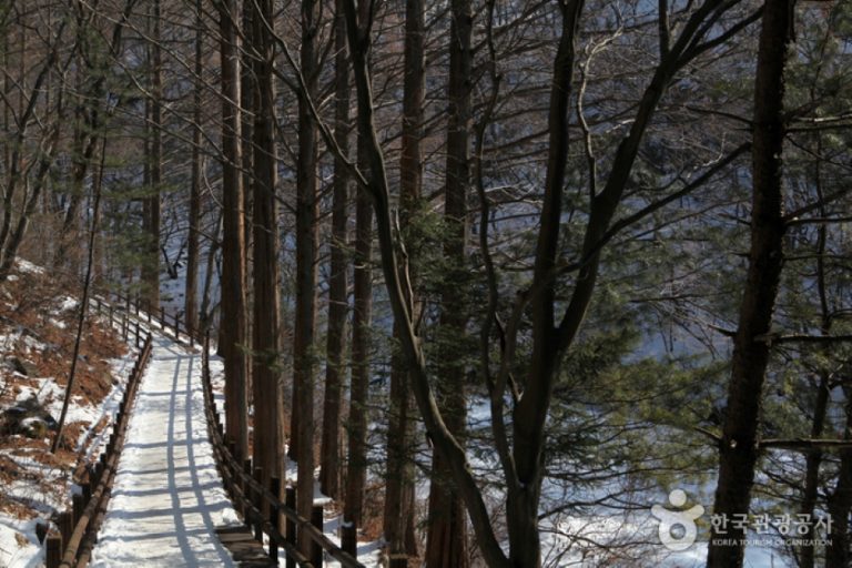 [경기] 청계산맑은숲공원
