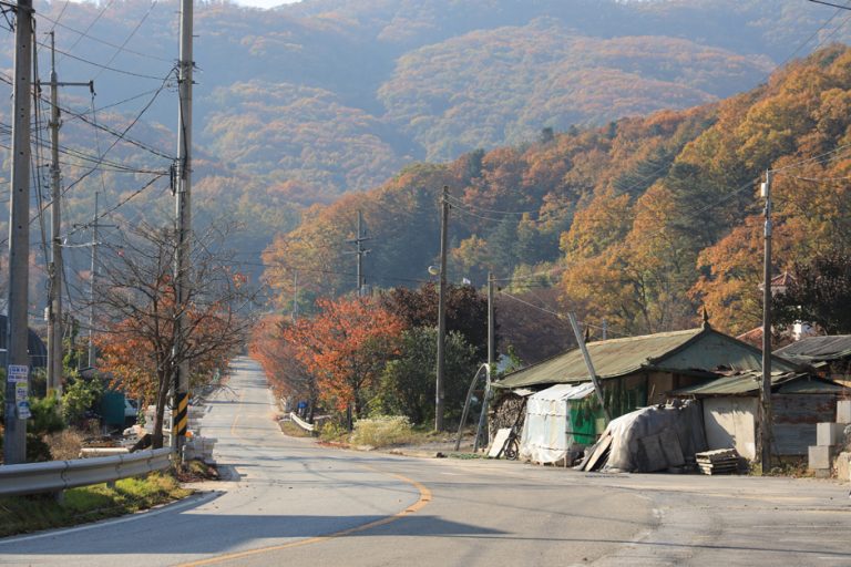 [경기] 장흥리 산촌생태마을