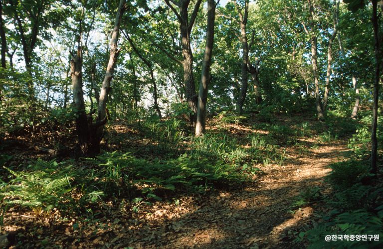 [경기] 서운산성