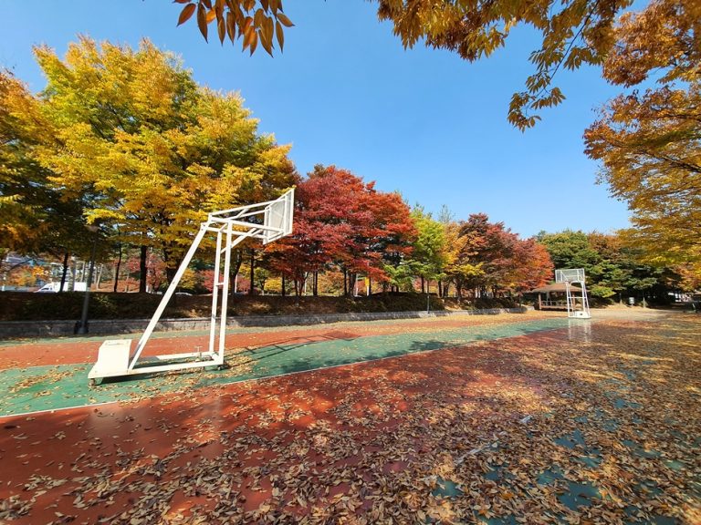 [경기] 고렴공원