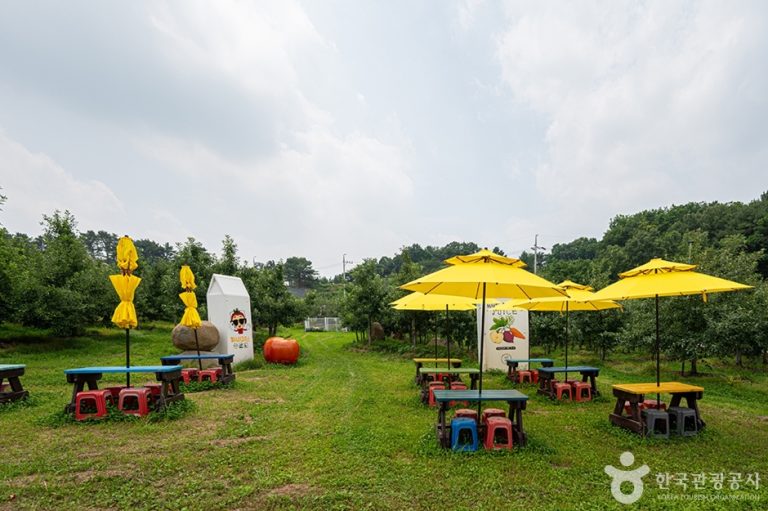 [경기] 사과깡패