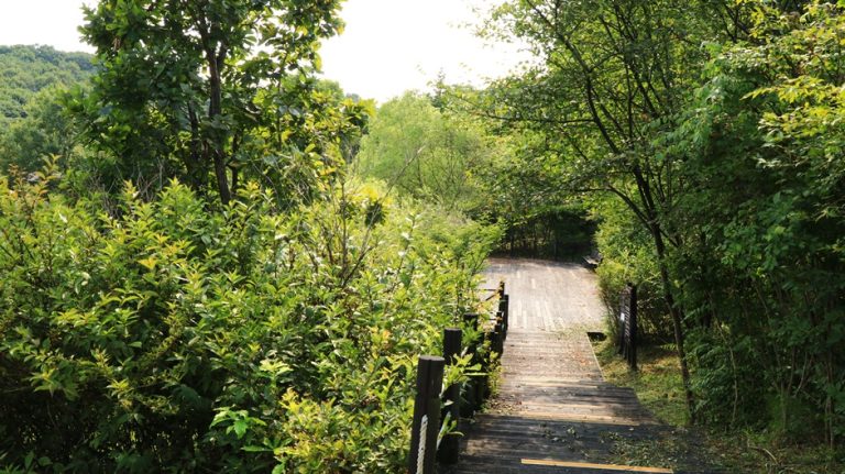 [경기] 연천로하스파크