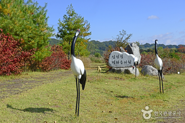 [경기] 임진강평화습지원