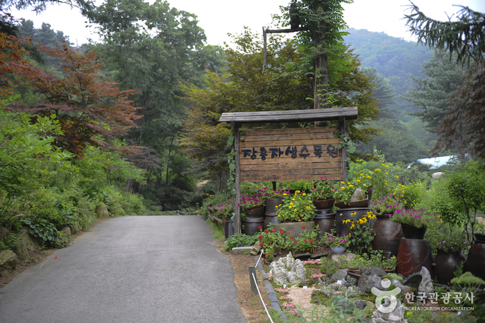 [경기] 장흥자생수목원