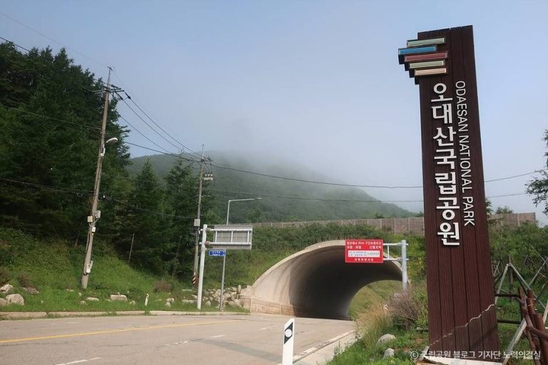 [강원] 오대산국립공원