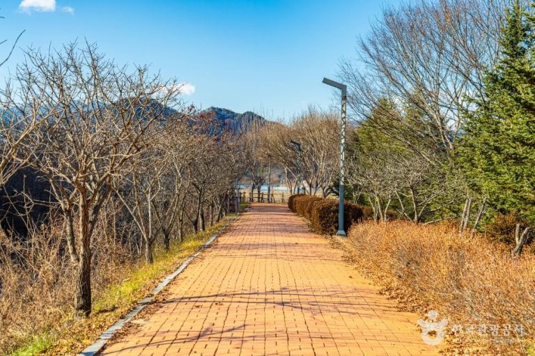 [강원] [효석문학100리길 5-1코스] 마을길따라 노산가는 길