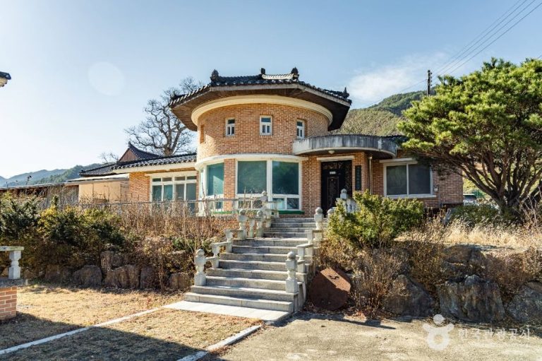 [강원] 삼척 가시오가피마을