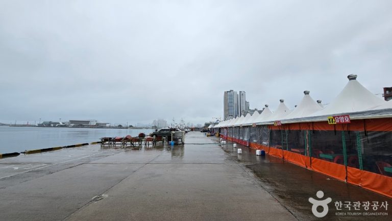 [강원] 속초항