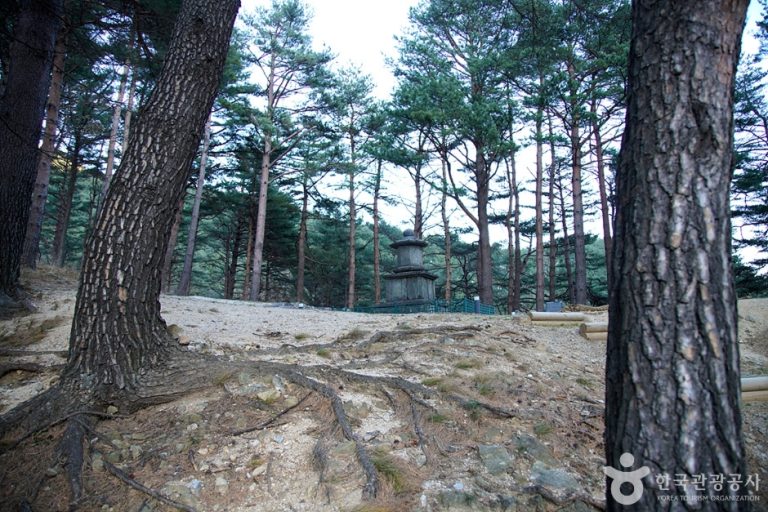 [강원] 양양 진전사지 도의선사탑