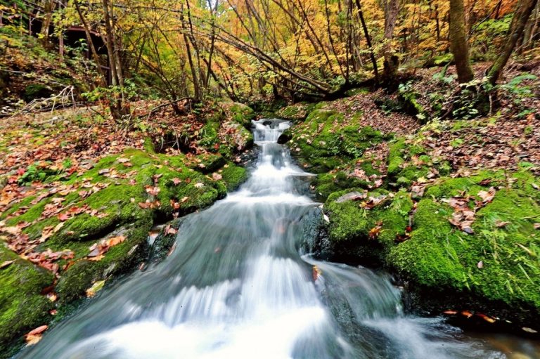 [강원] 검룡소 (강원고생대 국가지질공원)