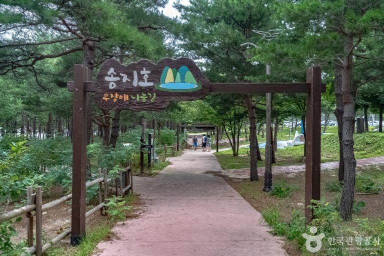 [강원] 송지호둘레길