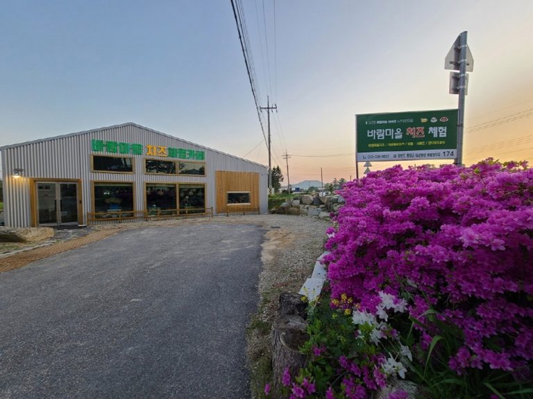 [강원] 바람마을 치즈체험장