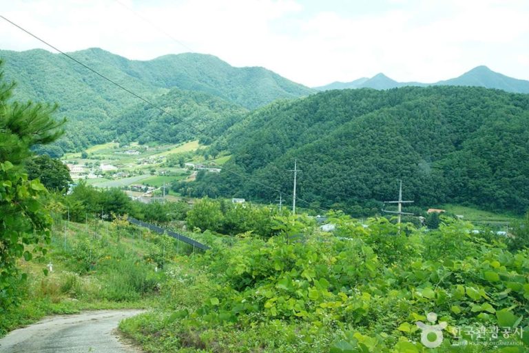 [강원] 기우산(정선)