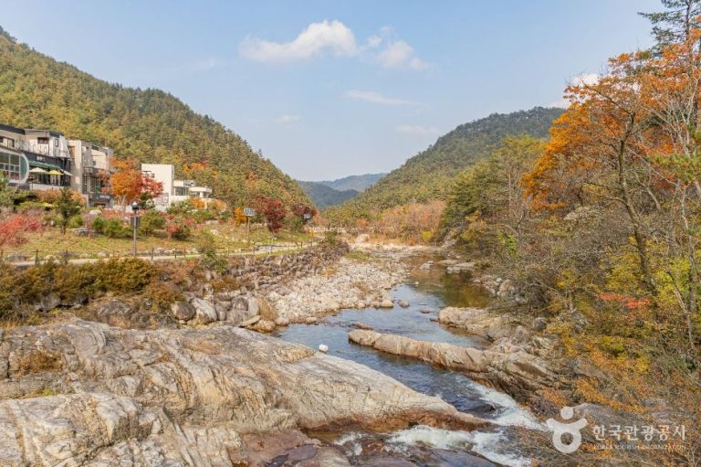[강원] 오대산 소금강계곡
