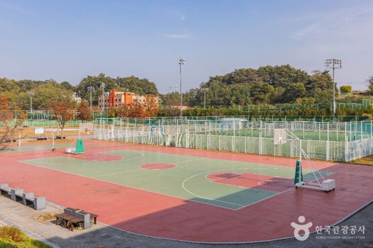 [강원] 강남축구공원