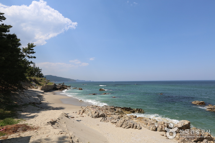 [강원] 초곡해수욕장