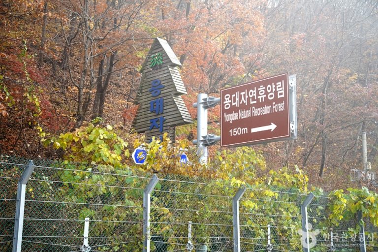 [강원] 국립 용대자연휴양림