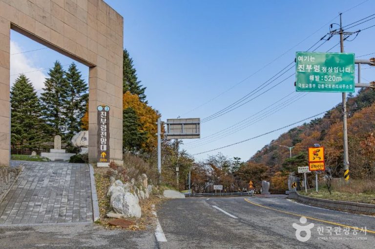 [강원] 진부령