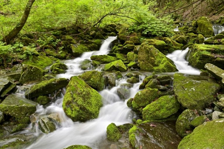 [강원] 장전계곡