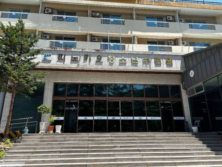 [강원] 피노키오청소년수련원(피노키오 캠핑장)