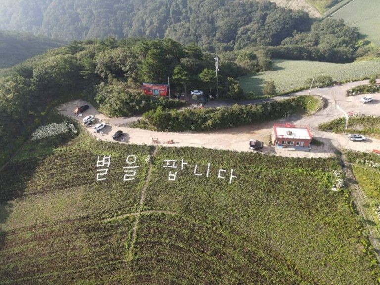 [강원] 강릉안반데기관광농원