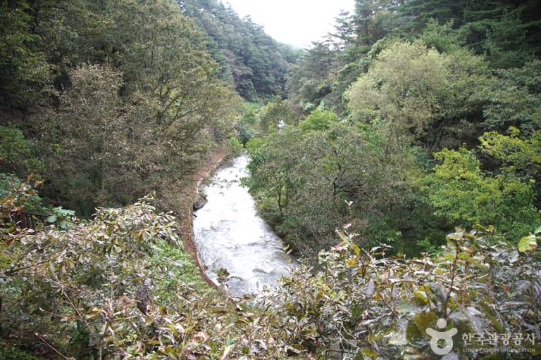 [강원] 삼척 초당굴