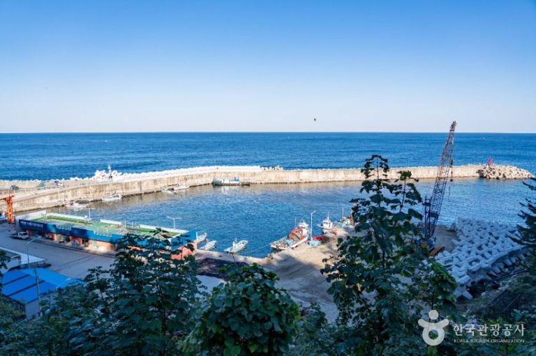 [강원] 대진항(삼척)