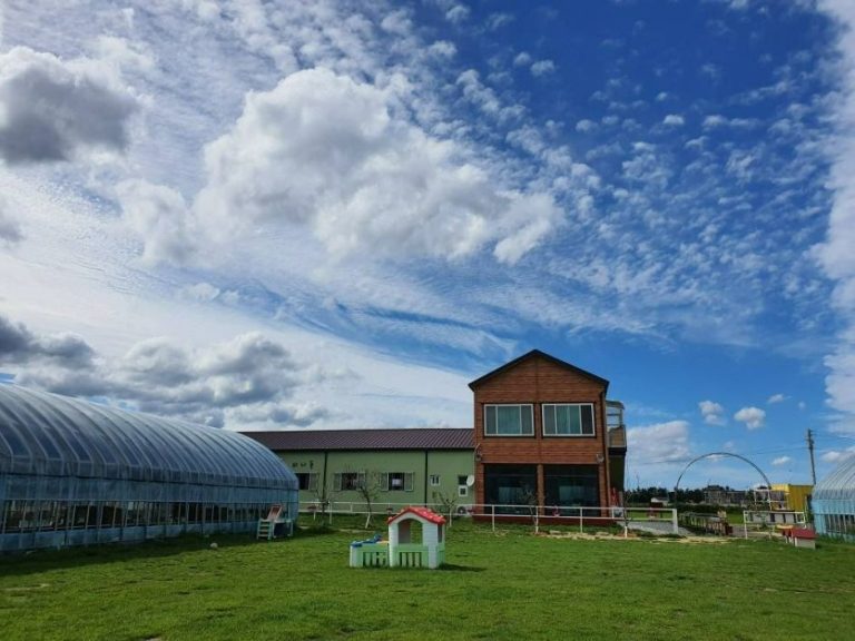 [강원] 강릉아기동물농장