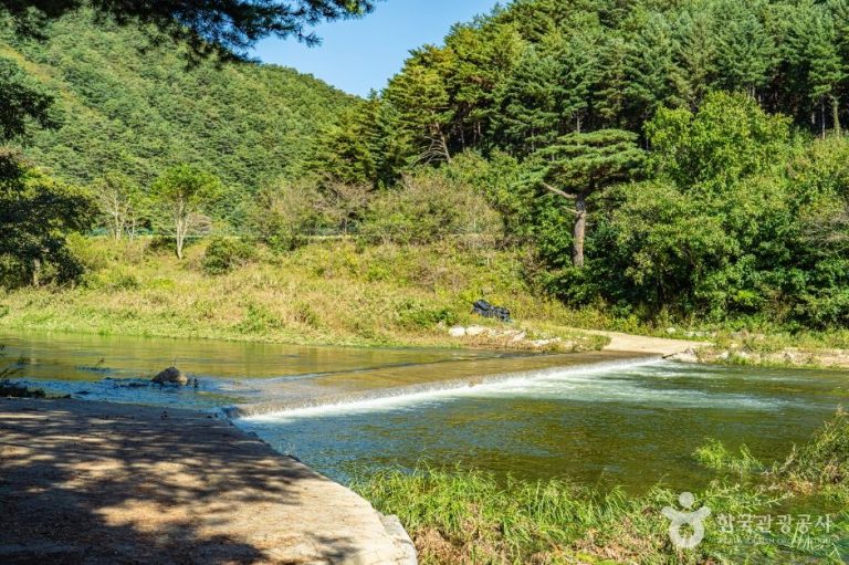 [강원] 진동계곡