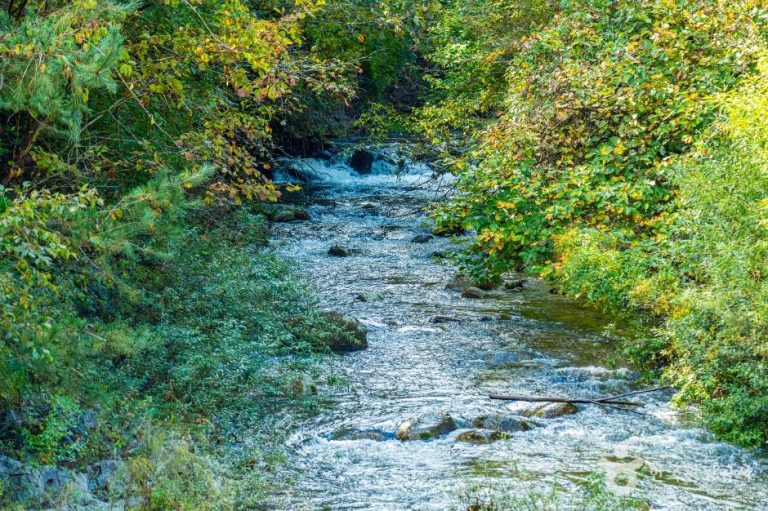 [강원] 내심적계곡