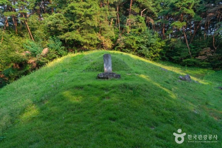 [강원] 원주 운곡원천석묘역