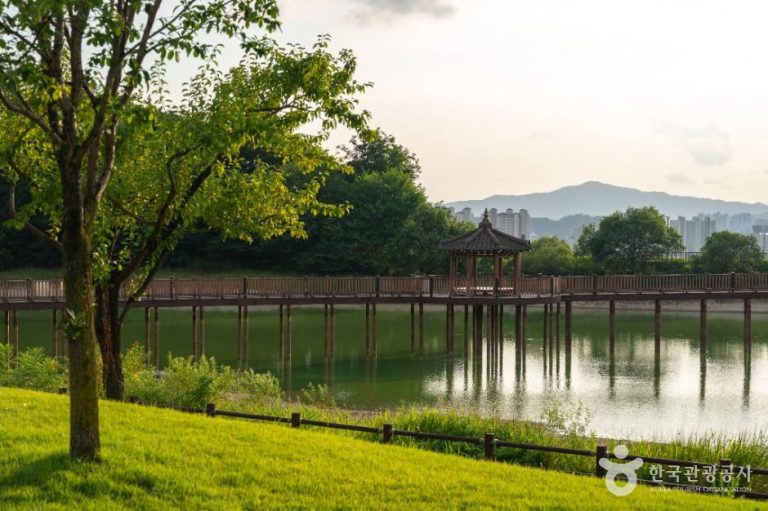 [강원] 행구수변공원