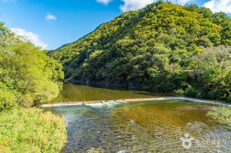 [강원] 수입천
