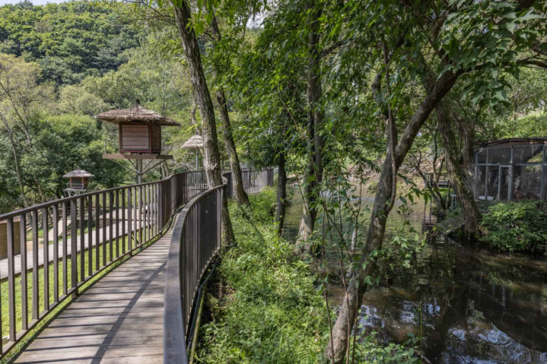 [강원] 알파카월드