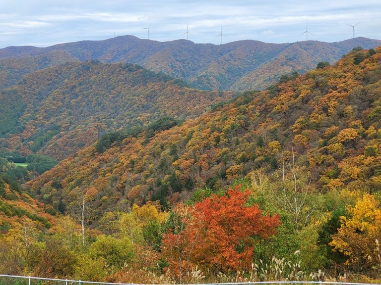 [강원] 모나용평
