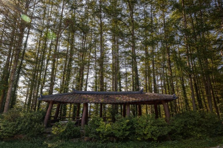 [강원] 몰운대(정선)