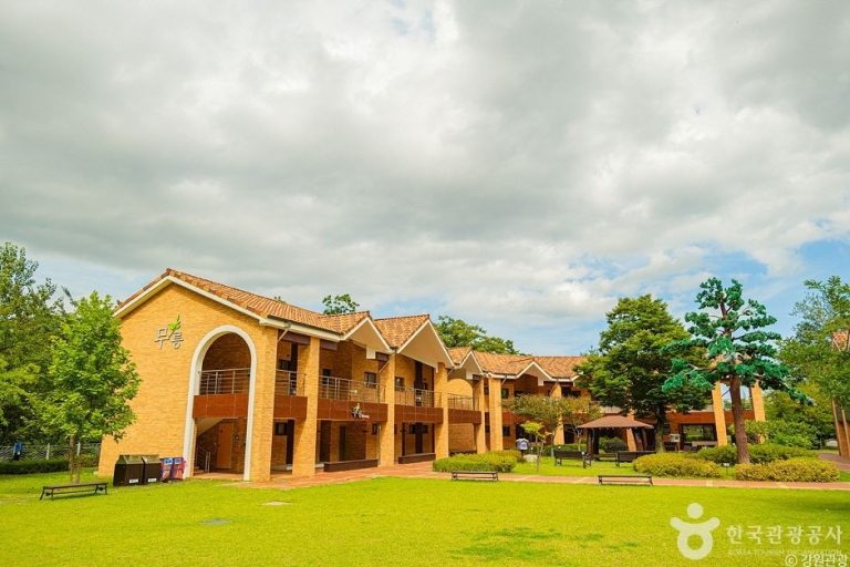 [강원] 동해무릉건강숲