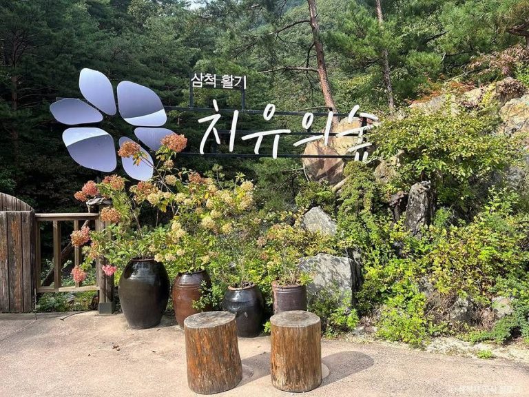 [강원] 삼척 활기 치유의 숲