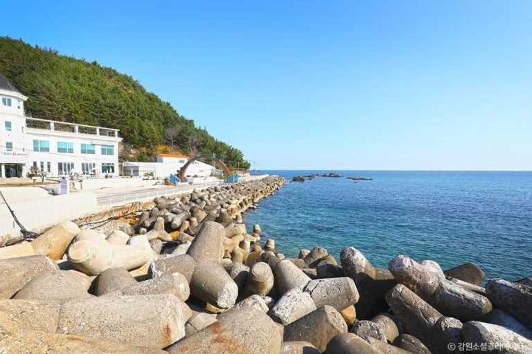 [강원] 금진항(강릉)