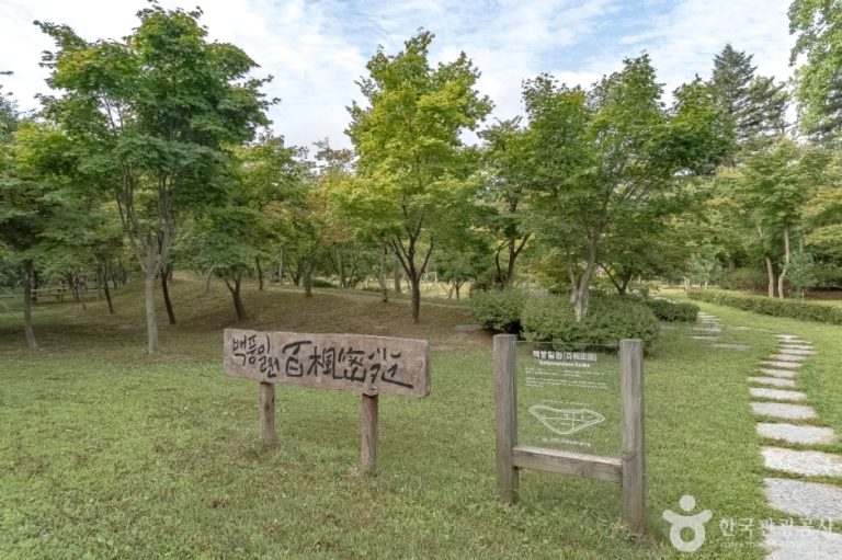 [강원] 백풍밀원