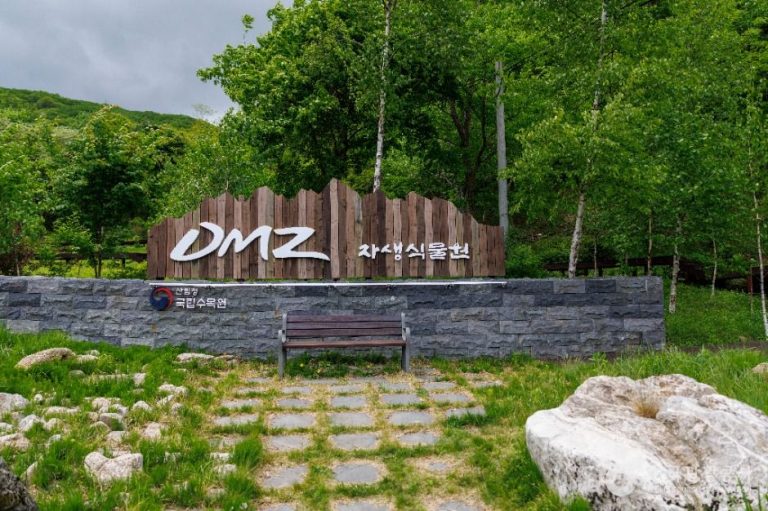[강원] 국립DMZ자생식물원