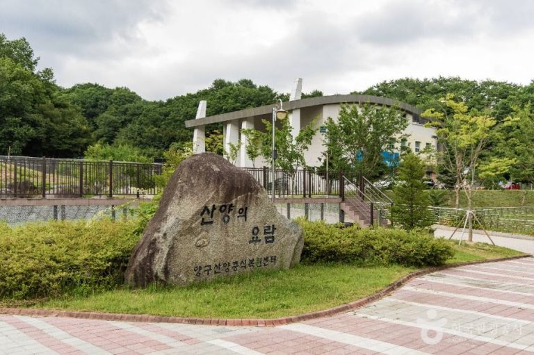 [강원] 양구 산양·사향노루센터