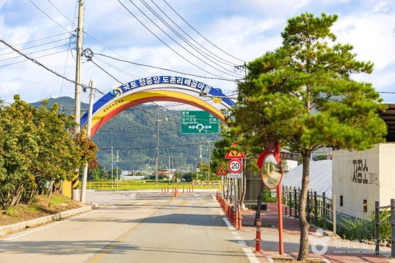 [강원] 양구 국토정중앙배꼽마을