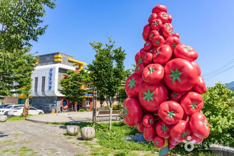 [강원] 토마토조각공원