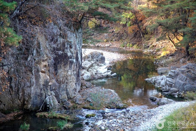 [강원] 서봉사계곡 마을관리휴양지