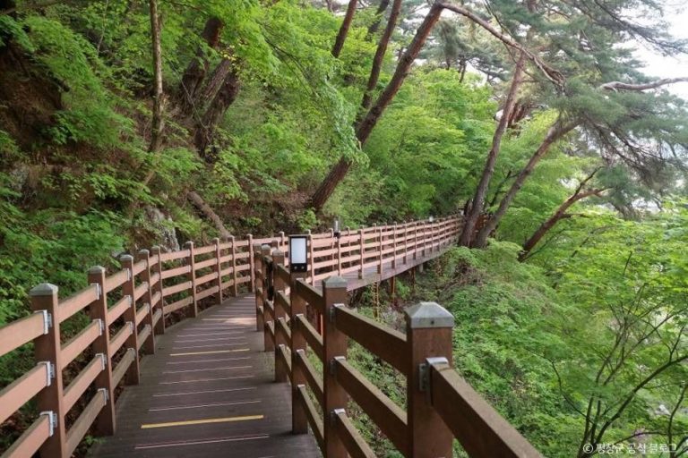 [강원] [효석문학100리길 1코스] 문학의 길