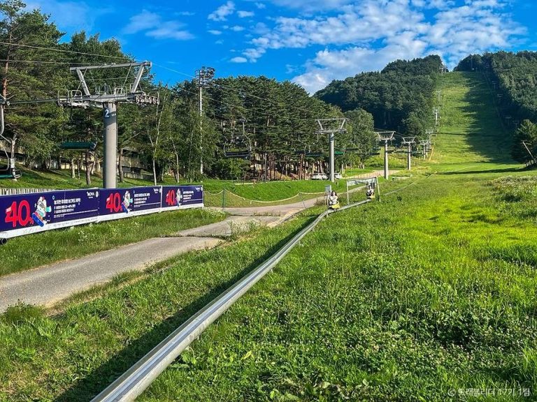 [강원] 마운틴코스터