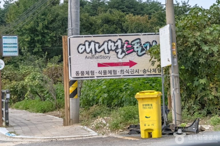 [강원] 애니멀스토리