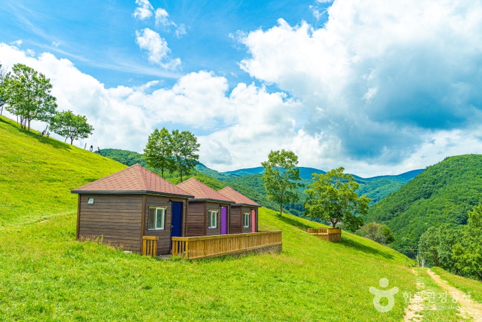 [강원] 몽토랑 산양목장