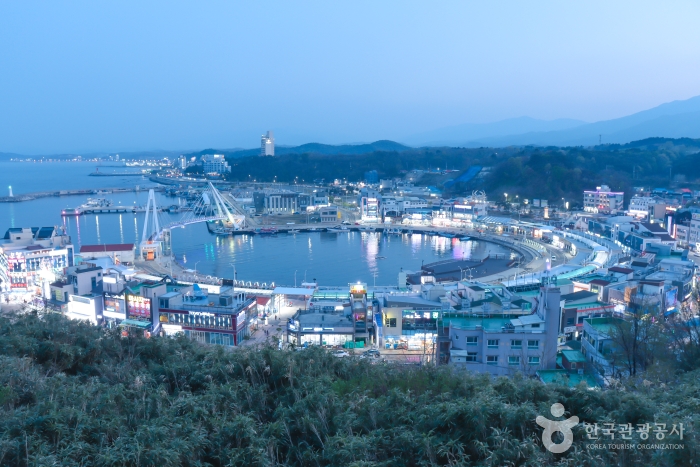 [강원] 대포항 전망대